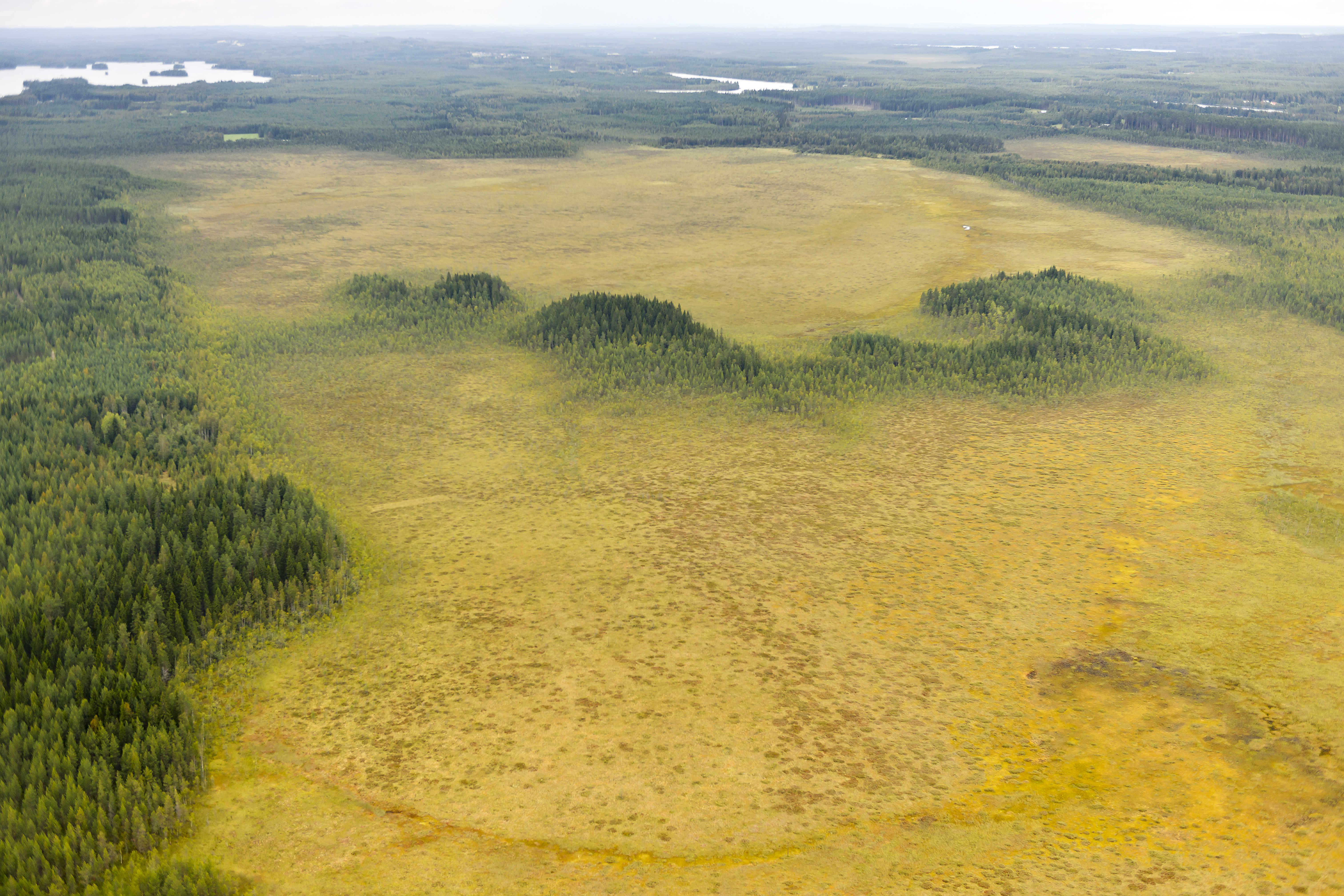 An aerial view over the Suurenaukionsuo peatland complex.